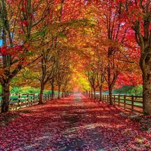 Meet your Posher, Alaina